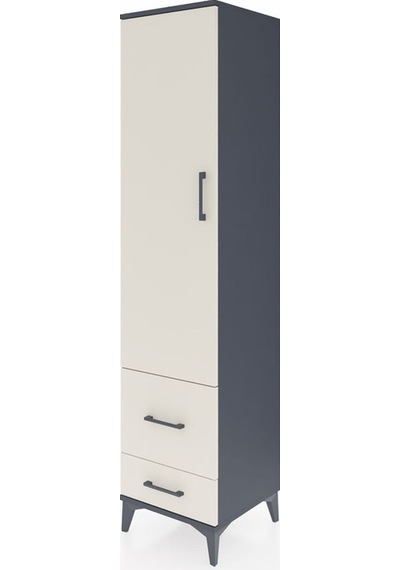 Hyperion Dolap 2 Raflı 2 Çekmeceli Tek Askılı 44x44x195 Antrasit-aytaşı Antrasit
