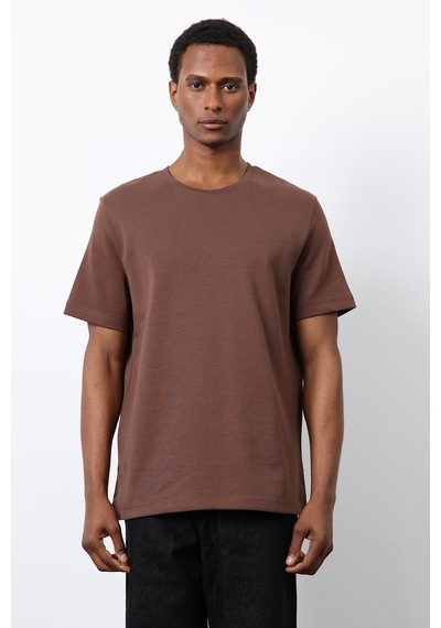 Antioch Regular Fit Basic Erkek T-shirt Kahverengi