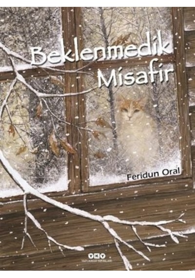 Beklenmedik Misafir Karton Kapak - Feridun Oral