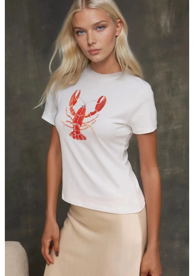 Hiccup Kadın Bisiklet Yaka Kısa Kollu Önü Baskılı Pamuklu T-shirt Çok Renkli