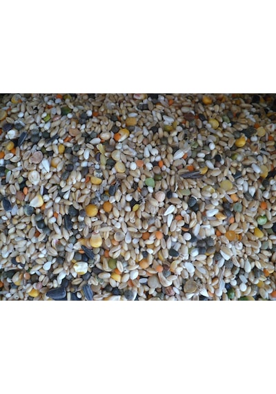 KARIŞIK GÜVERCİN YEMİ 10 KG BUĞDAYLI
