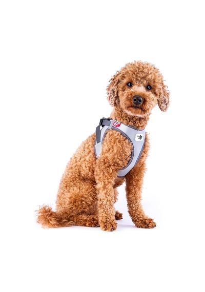 Glow Curli Clasp Vest Harness Reflective Gray S Genel