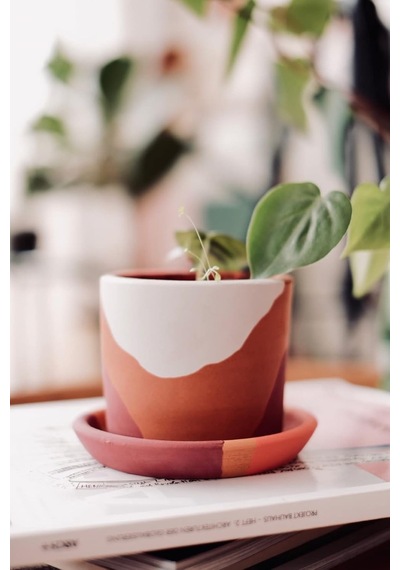 Terracotta Saksi + Tabak Bordo Beyaz 10x9cm