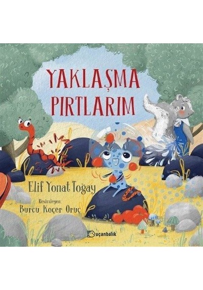 Yaklaşma Pırtlarım / Elif Yonat Toğay