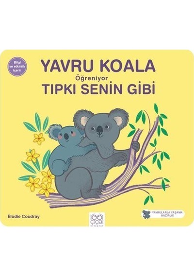 Yavru Koala Öğreniyor Tıpkı Senin Gibi / Elodie Coudray