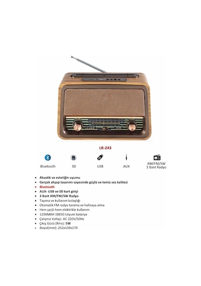 Leader LR-243 Radio,BT,USB,TF Retro Müzik Kutusu