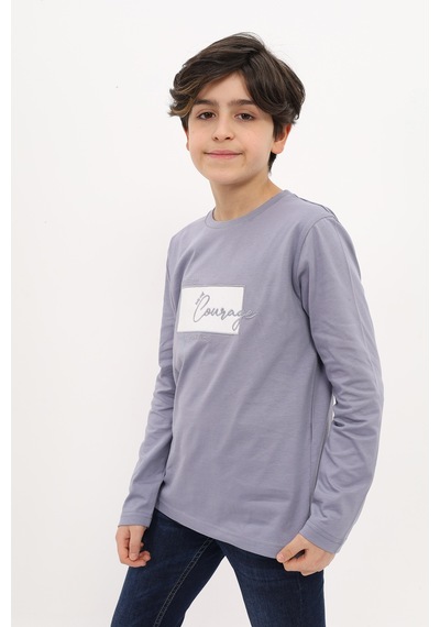 Toontoy Kids Toontoy Erkek Çocuk Nakışlı Tişört Gri