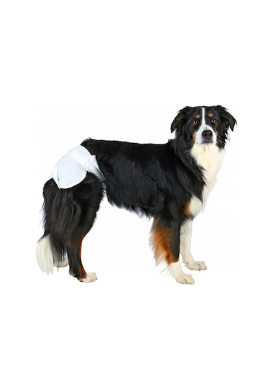 Trixie Köpek Pedi S - M 28 - 40 CM 12'li
