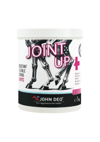 Joint Up 1 Kg Eklem Ve Kıkırdak Takviyesi