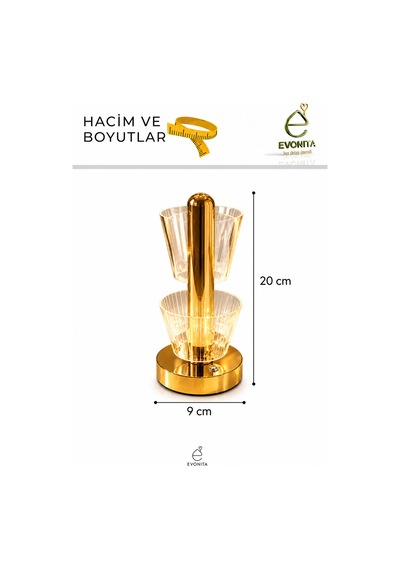 Evonıta Dekoratif Led Masa Lambası Spiral Tasarım Şeffaf Işıklı Abajur Gold Tabanlı Modern Gece Lambası