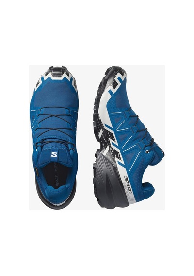 Salomon Speedcross 6 Gore-tex Renkli