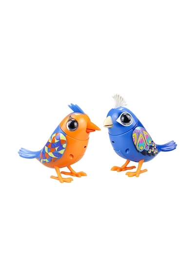 Digibirds İkili Paket Seri 1