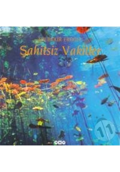 Şahitsiz Vakitler - Ebubekir Eroğlu / Yapı Kredi Şiir Kitapları