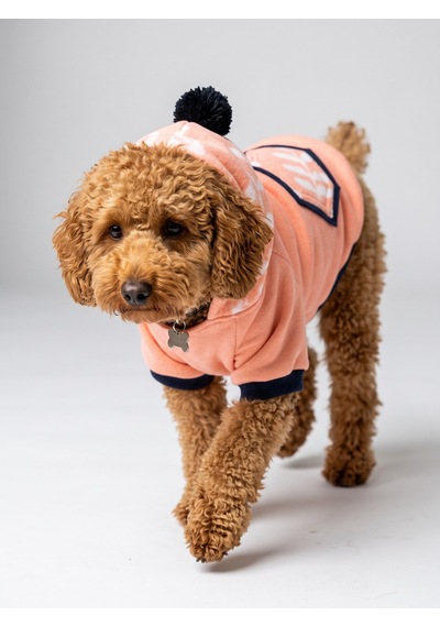 Peachy Pink Köpekler İçin Polar Sweatshirt