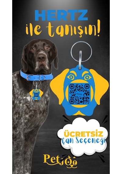 Petjoo 26.Hertz Sarı-Mavi Qr'lı Köpek Künyesi