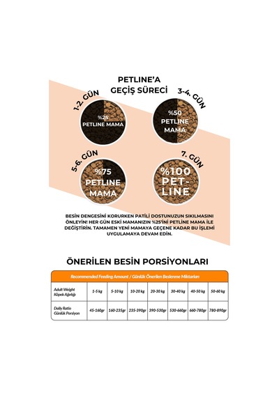 Petline Sensitive Skin & Coat Deri ve Tüy Sağlığı İçin Somonlu Yetişkin Kuru Köpek Maması 2 x 12 KG