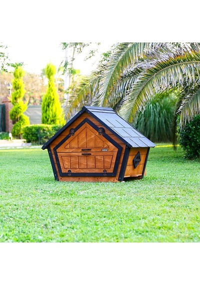 Ahşap Tavuk Kümesi 6 Tavuk Ve Güvercin Evi