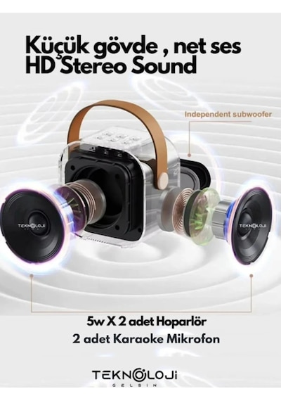 2 Mikarfonlu Kareoke Set Cep Boyu