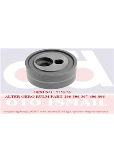 INA 531037310 V Kayış Gergi Rulmanı 307 2.0 HDI Dw10Td Nac