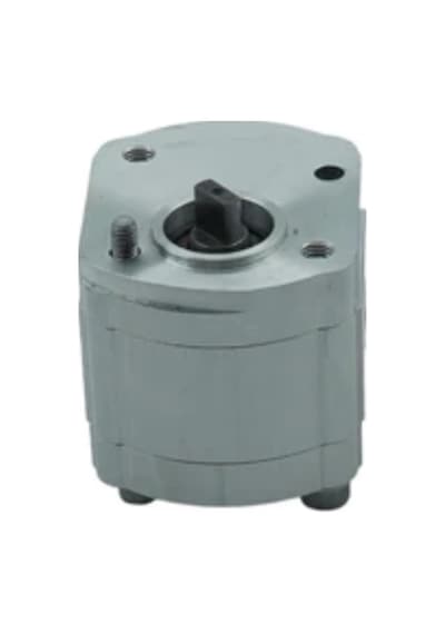 Rippa R13/r15/r22 Mini Ekskavatör Dişli Pompa Lp0101010028