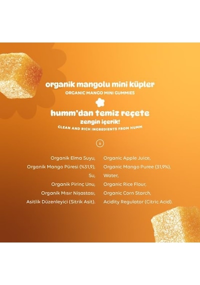 Organik Glutensiz Vegan Mangolu Mini Küpler - 30g Diğer