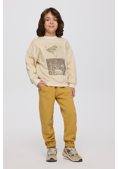 Panço Erkek Çocuk Baskılı Bej Sweatshirt Krem