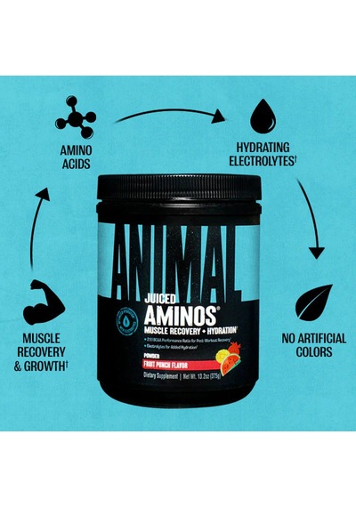 Universal Animal Juiced Aminos Bcaa + Recovery