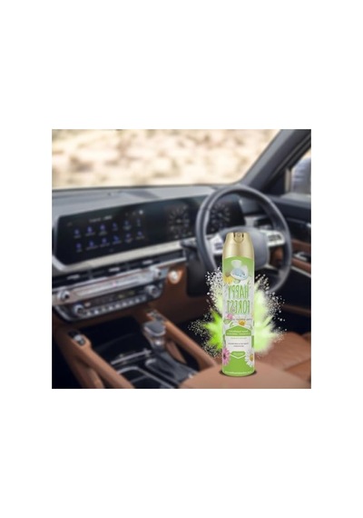 300 Ml Ferahlatıcı Aerosol Koku - Araç Ve Oda İçin