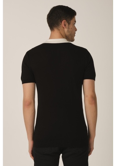 Alexander Gardi Alexandergardı Polo Yaka Erkek T-shirt E21-Eze Ts 35 Renk Bloklu