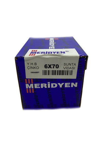 Meridyen Sunta Vidası 6x70 100 Adet Diğer