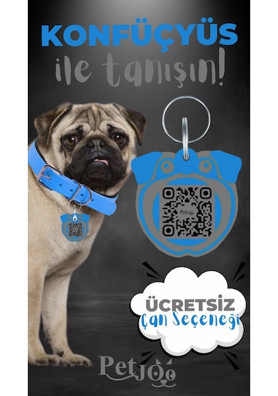 Petjoo 9.Konfüçyüs Gri-Mavi Qr'lı Köpek Künyesi