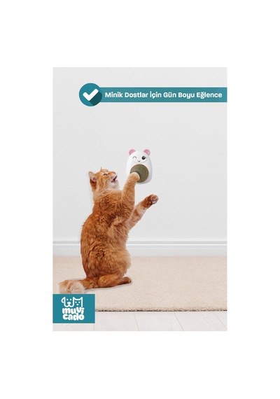 Catnipli Kedi Nanesi Otu Oyuncakları Oyuncağı Catnip Kedi Otu Çimi Avokado Oyuncak Yalama Topu Yeşil