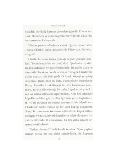 Can İle Eğlenceli Bir Hikayenin Kapıları