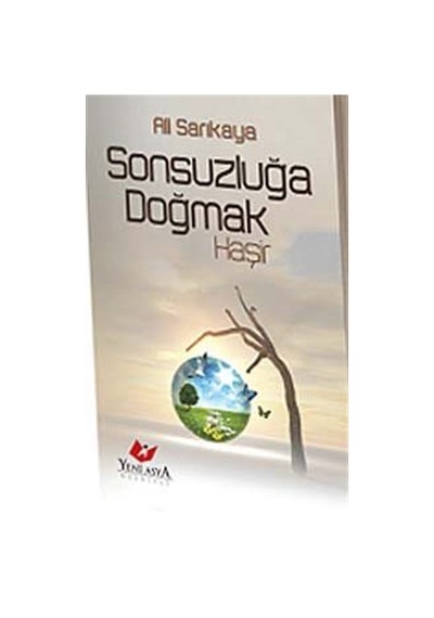 Sonsuzluğa Doğmak / Ali Sarıkaya