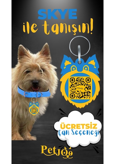 Petjoo 6.Skye Sarı-Mavi Qr'lı Köpek Künyesi