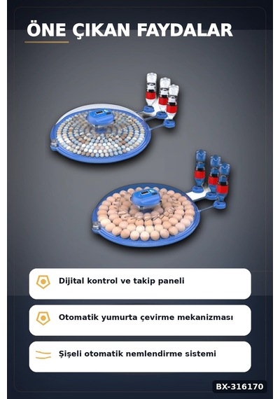 Kuluçka Makinesi Çift Viyollü 80-240 Yumurta Kapasiteli Tavuk Kaz Bıldırcın Bx-316170