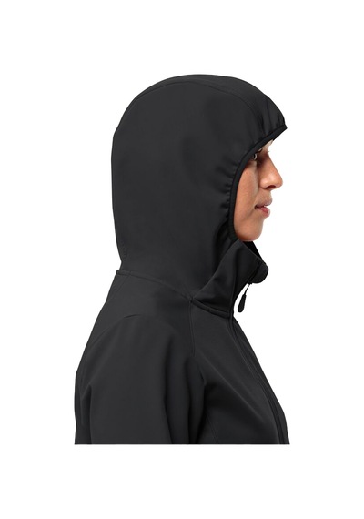 Jack Wolfskin Jack Wolfskın Bornberg Hoody W 6000 Siyah