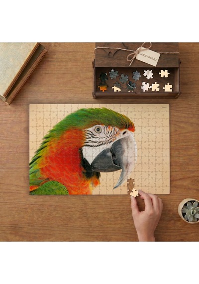 Yakın Çekim Papağan Tasarımı 240 Parça Ahşap Puzzle Ahşap Kutuda Mpy50364