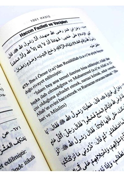 Kütübi Sitteden 1001 Hadis Roman Boy