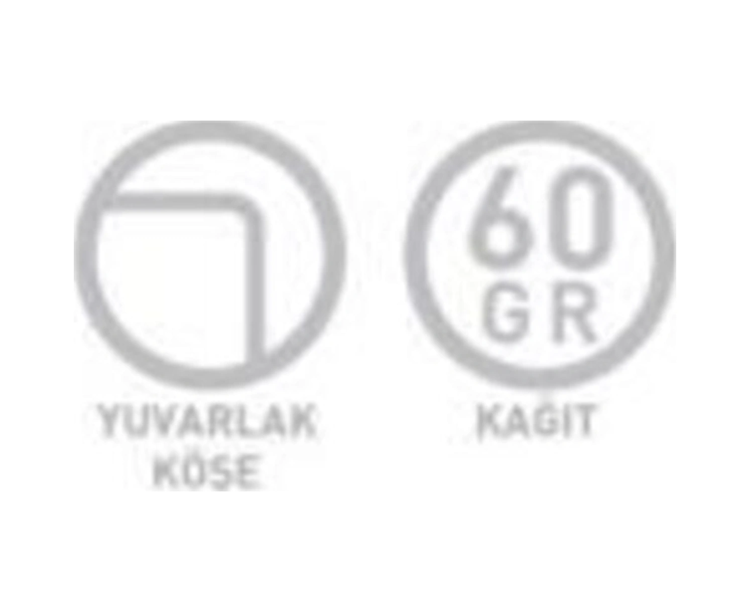 Pastels A4 Tel Dikişli Pp Kapak Defter 100 Yaprak Çizgili 4 Lü Paket 4120