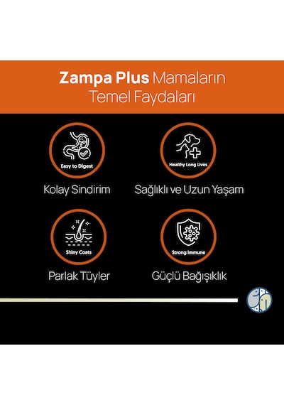 Zampa Plus Premium Tavuk Etli Yetişkin Kediler İçin Kuru Mama 15 KG