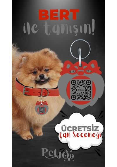 Petjoo 13.Bert Gri-Kırmızı Qr'lı Köpek Künyesi