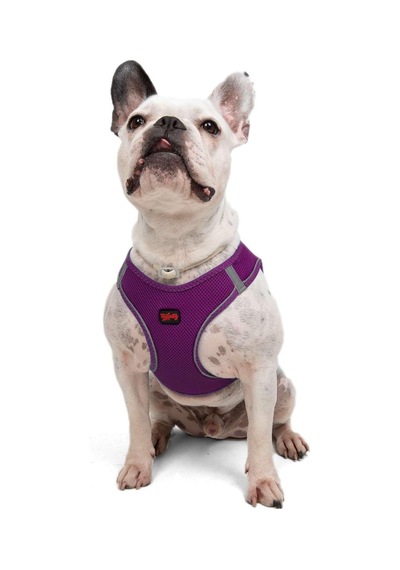 Tailpetz Air-mesh Göğüs Tasması 3xs Mor, L Sku: Zeusb07q2jvtjc Açık Bej - Bej