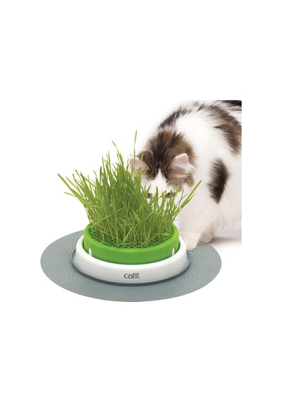 Grass Planter, Kedi Otu, Kapaklı Kedi Kazığı, 1 Adet Tekli Paket
