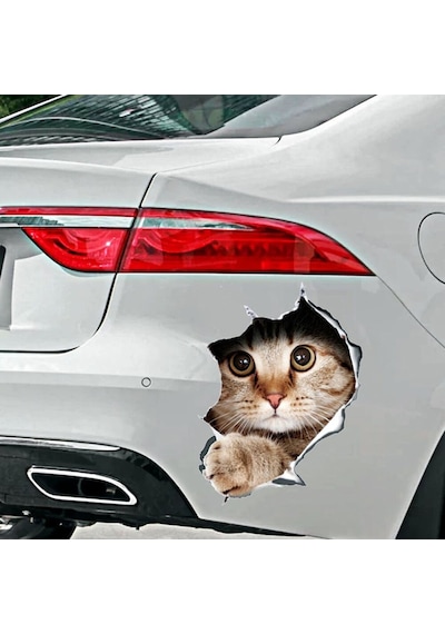 Kedi Sticker 01804