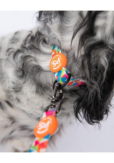 Mosaic Mozaik Desenli Köpek Boyun Tasması Ayarlanabilir Köpek Tasması M Size 32-48cm Boyun Aralığı Mavi