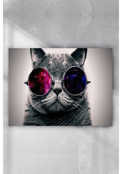 Kedi Eğlenceli Mizahi Poster