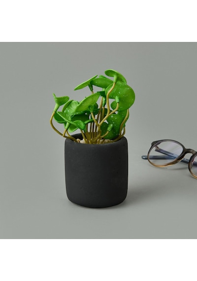 Mini Pot Soft Yaprak Saksılı Çiçek - Asorti - 8x6x6 Cm Çok Renkli