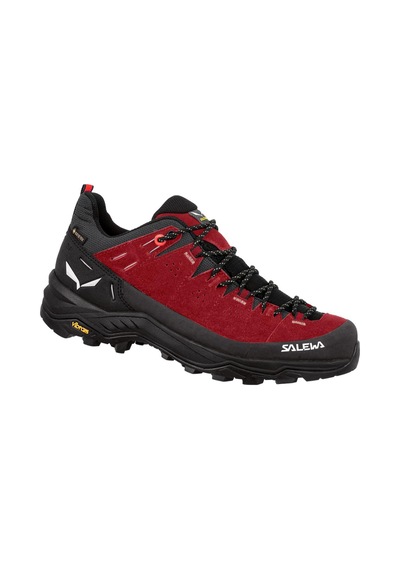 Salewa Alp Trainer 2 Gtx Kadın Ayakkabı 001