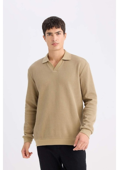 DeFacto Regular Fit Polo Yaka Sweatshirt D7448AX25SPKH185